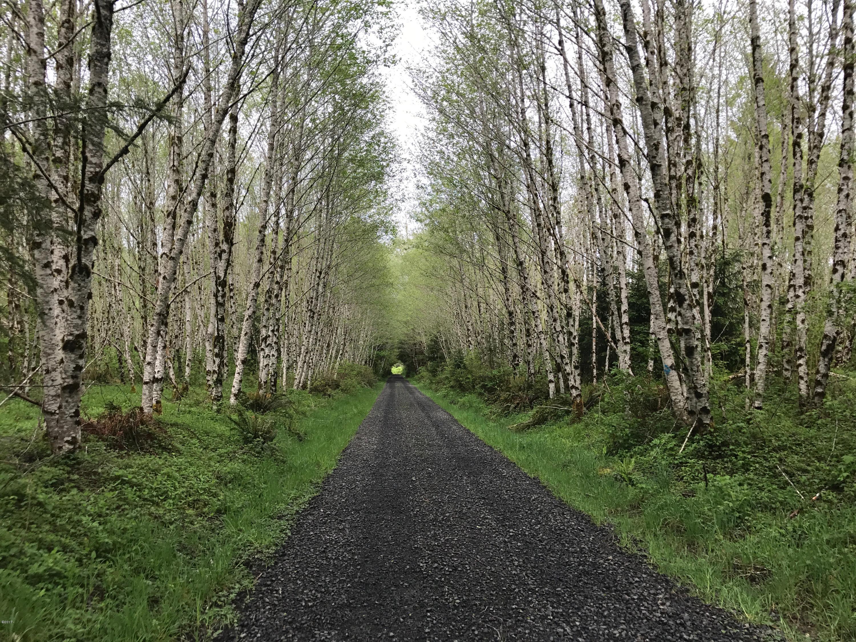 Lot 15 Hamer Road Siletz, OR 97380 - Photo 2 of 23 Entry road