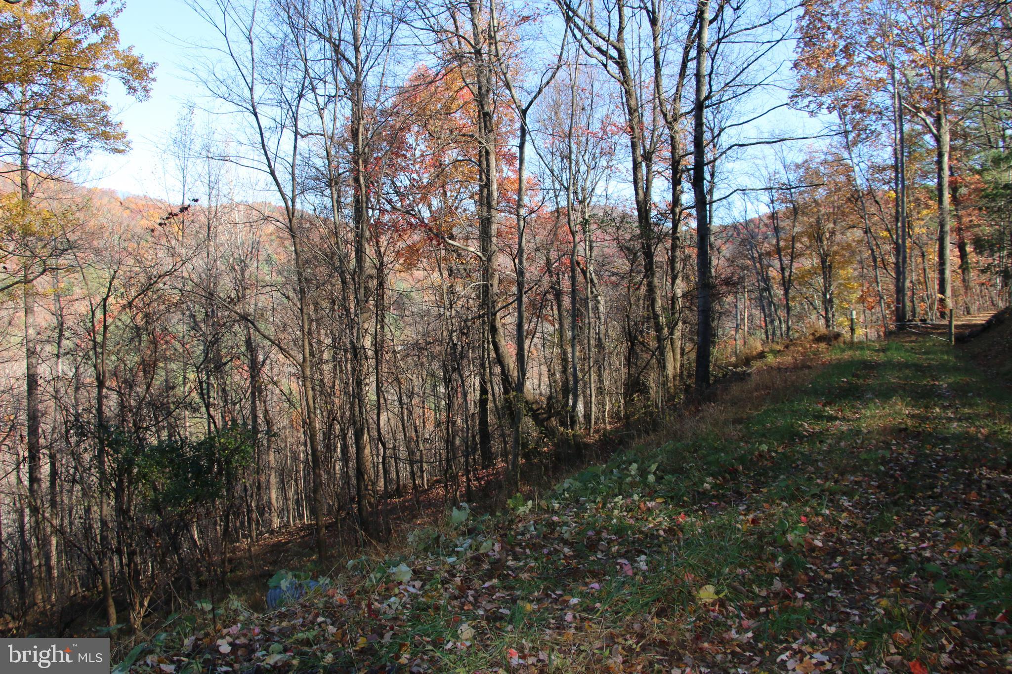 0 Overlook Mountain Road Elkton, VA 22827 - Photo 1 of 19 Gallery Image 1