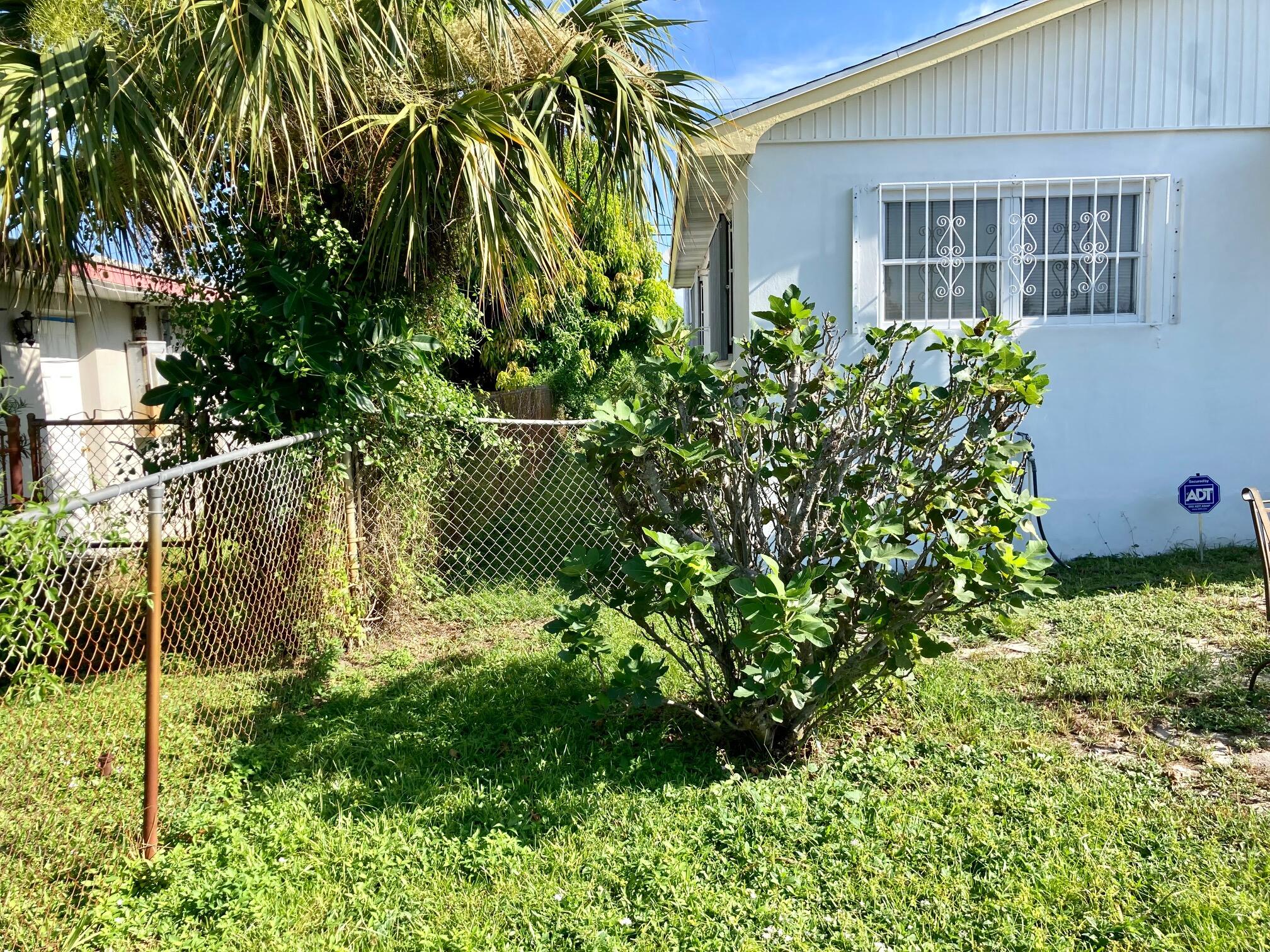 928 West 6th Street Riviera Beach, FL 33404 - Photo 2 of 23 9286thfrontyard2