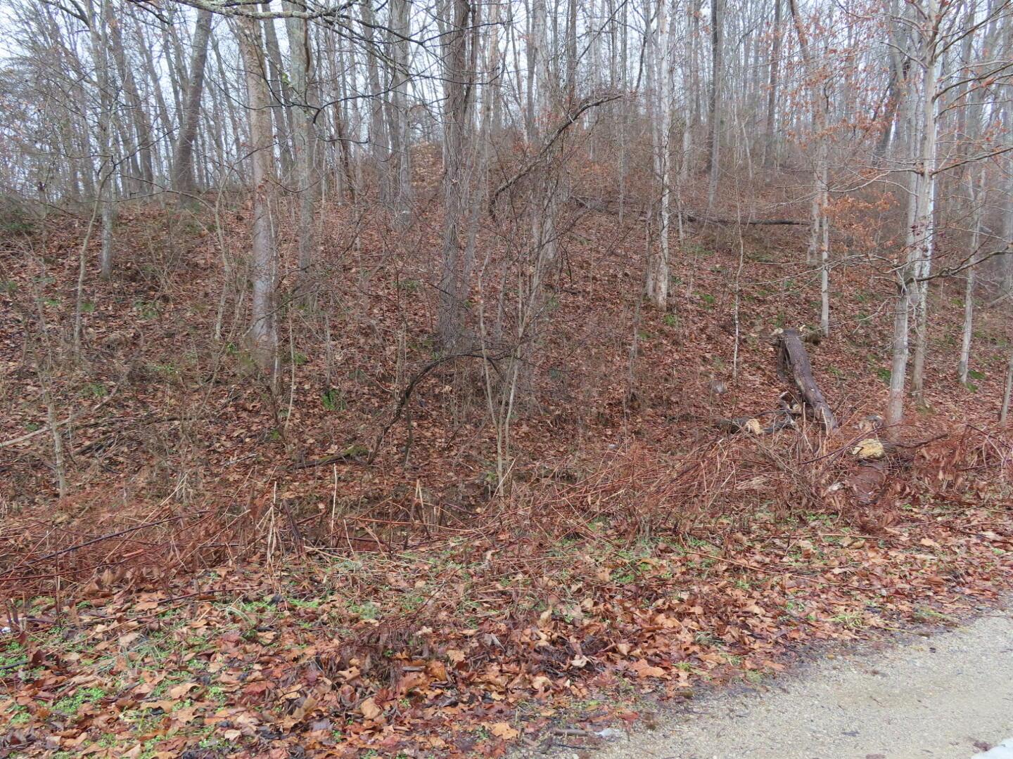 20 Wiseman Road Beaver, OH 45613 - Photo 1 of 18 20220202033346_IMG_4895