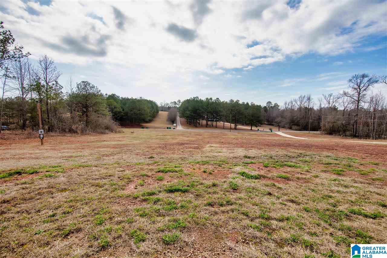 20516 Cathedral Lane McCalla, AL 35111 - Photo 4 of 47