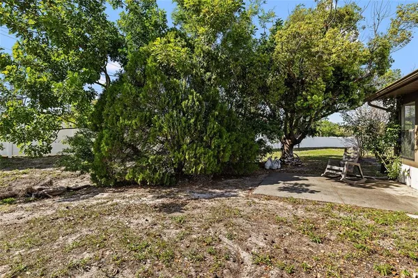 a wooden bench with a tree in the background