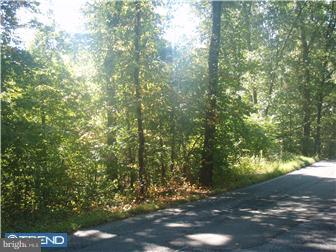 5133 Maple Grove Road Mohnton, PA 19540 - Photo 2 of 9 Gallery Image 2
