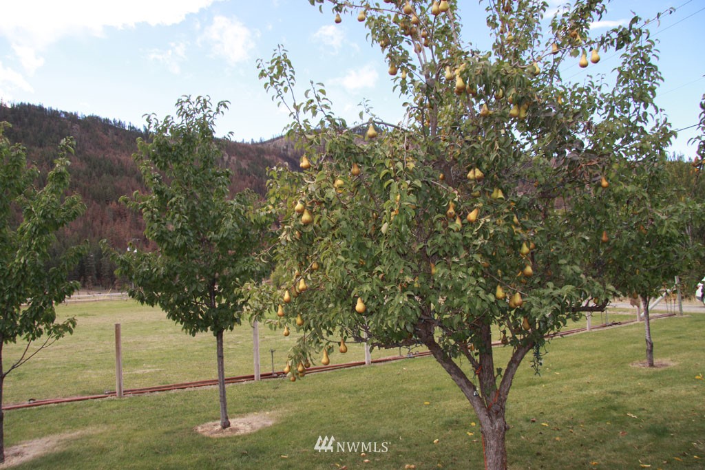 12 Preston Road Carlton, WA 98814 - Photo 22 of 25 Gallery Image 22