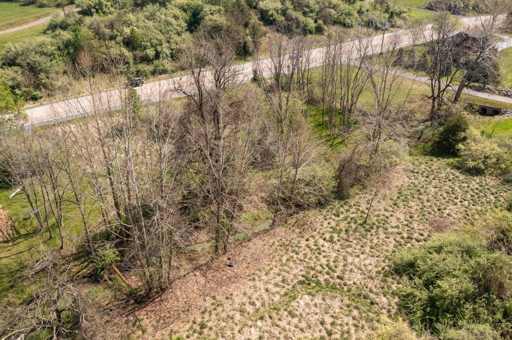 496 Old Greenville Road Staunton, VA 24401 - Photo 16 of 68 a view of a yard with trees