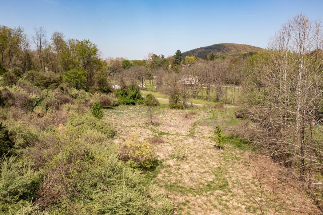 496 Old Greenville Road Staunton, VA 24401 - Photo 21 of 68 a view of a yard with a tree