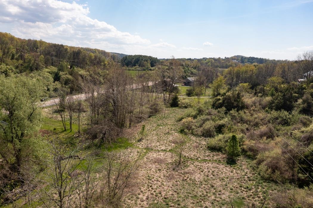 496 Old Greenville Road Staunton, VA 24401 - Photo 22 of 68 a view of a mountain in the distance in a field