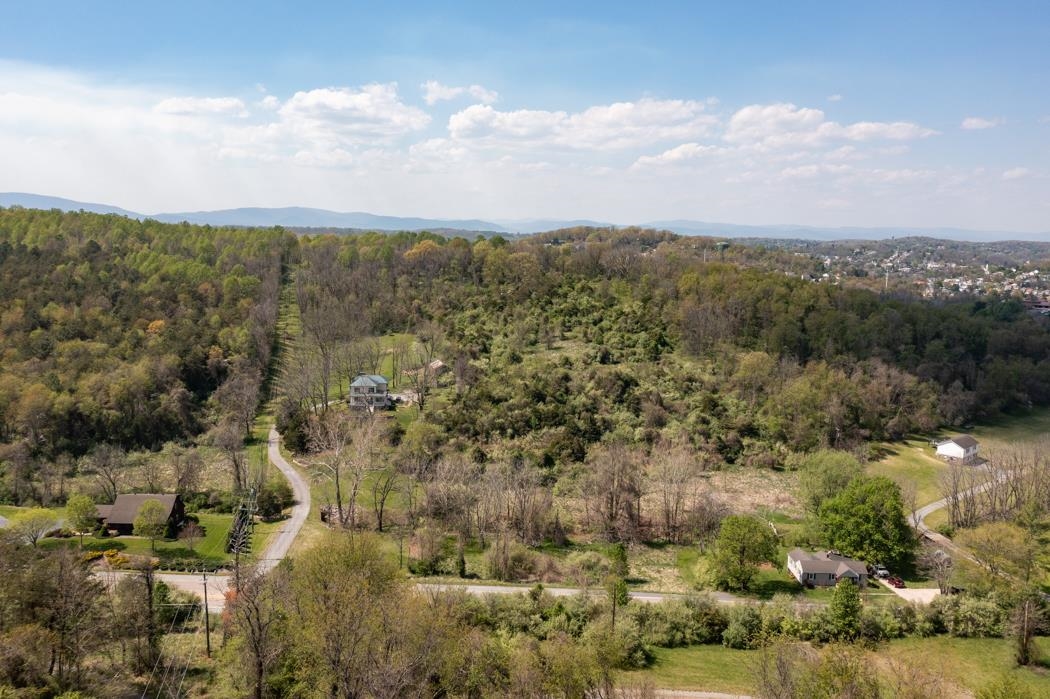 496 Old Greenville Road Staunton, VA 24401 - Photo 3 of 68