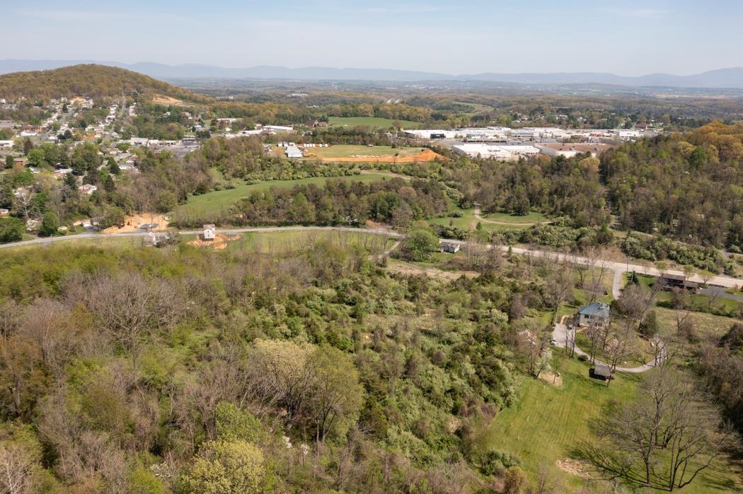 496 Old Greenville Road Staunton, VA 24401 - Photo 33 of 68 an aerial view of residential houses with outdoor space and trees