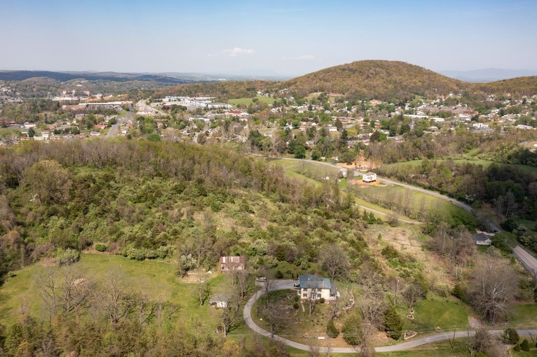 496 Old Greenville Road Staunton, VA 24401 - Photo 40 of 68 view of city and mountain