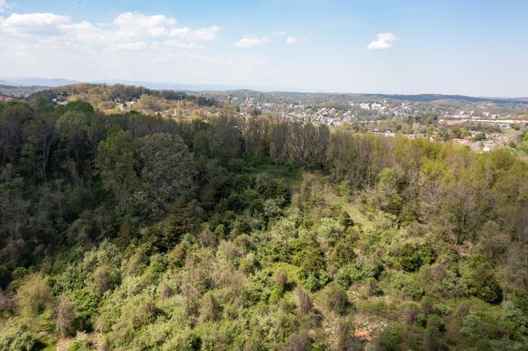 496 Old Greenville Road Staunton, VA 24401 - Photo 42 of 68