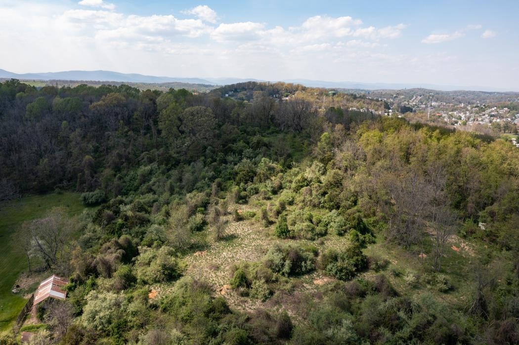 496 Old Greenville Road Staunton, VA 24401 - Photo 43 of 68 a view of a lake with a mountain in the background