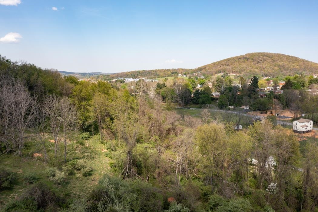 496 Old Greenville Road Staunton, VA 24401 - Photo 45 of 68 a view of lake with mountain