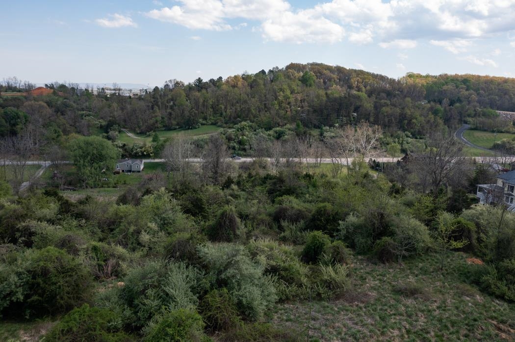 496 Old Greenville Road Staunton, VA 24401 - Photo 47 of 68