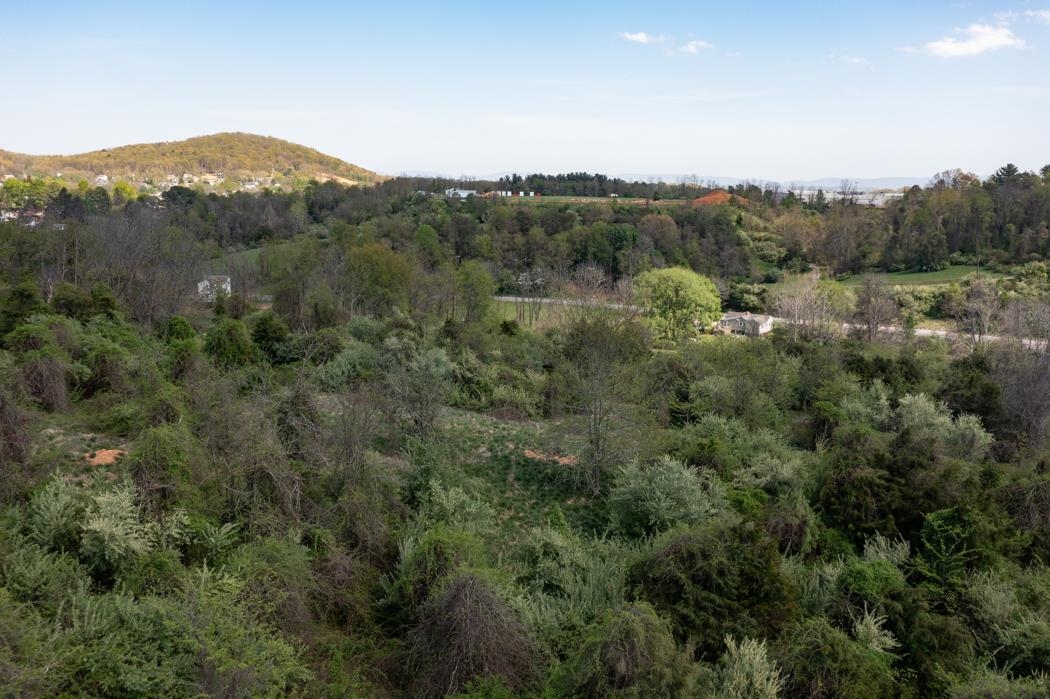 496 Old Greenville Road Staunton, VA 24401 - Photo 48 of 68