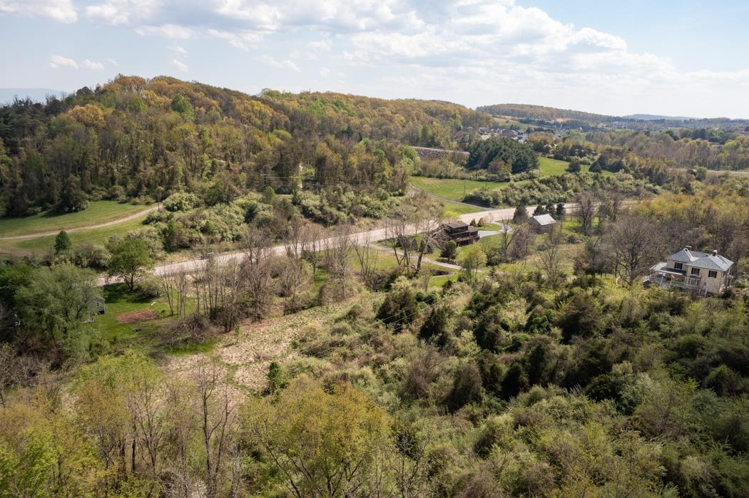 496 Old Greenville Road Staunton, VA 24401 - Photo 52 of 68 a view of a lot of trees and mountains