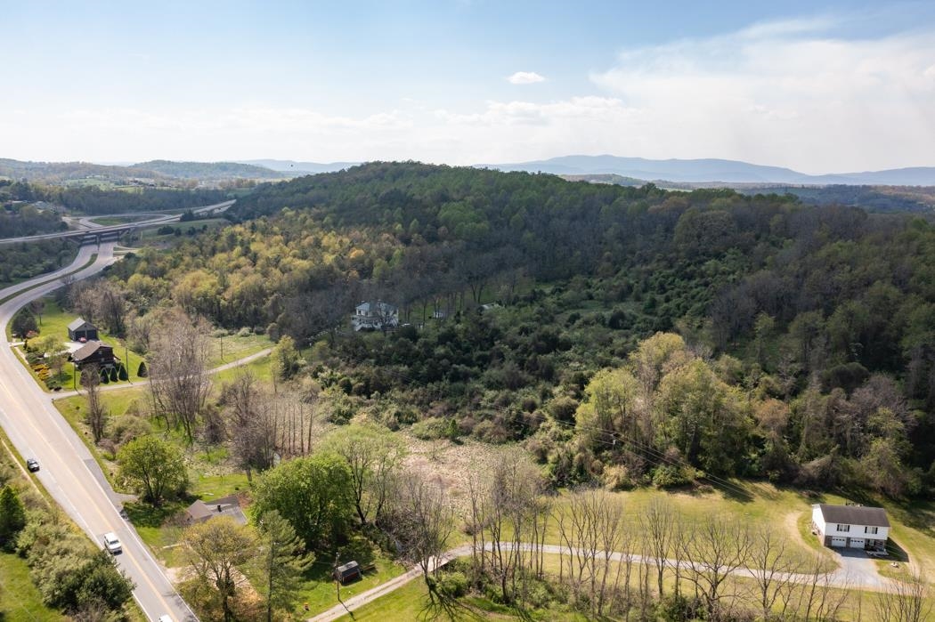 496 Old Greenville Road Staunton, VA 24401 - Photo 55 of 68 a view of a lake in middle of the forest