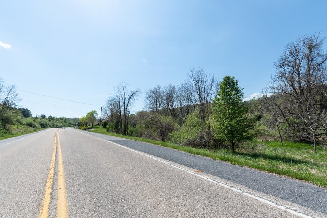 496 Old Greenville Road Staunton, VA 24401 - Photo 61 of 68 a view of a road with a garden