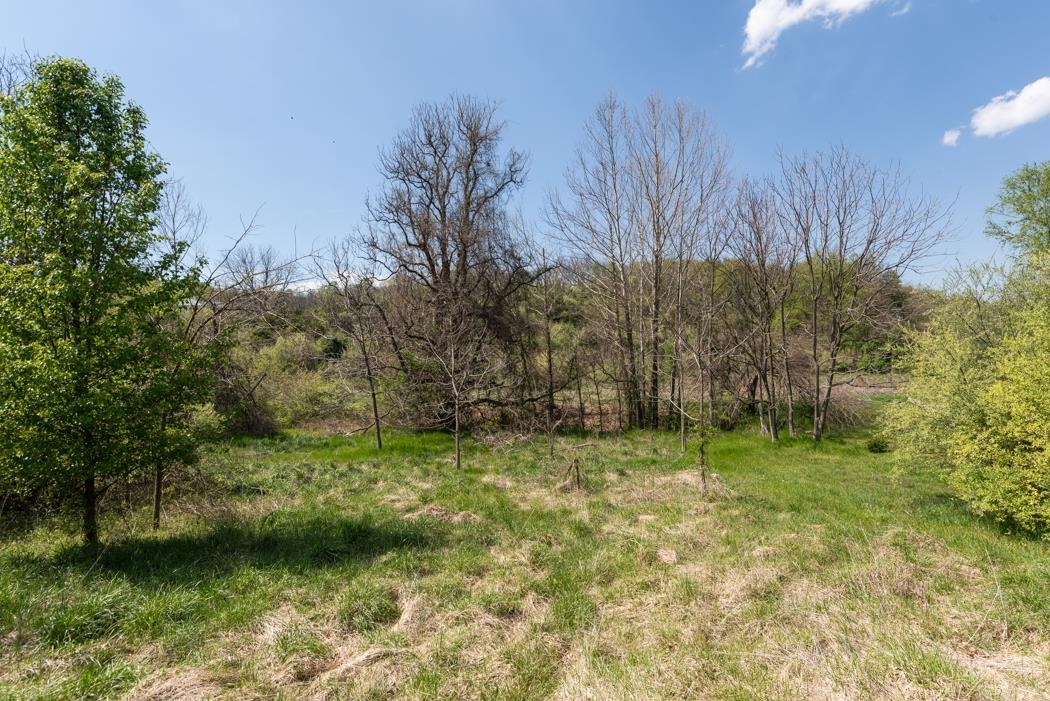 496 Old Greenville Road Staunton, VA 24401 - Photo 62 of 68 a backyard of a house with lots of green space