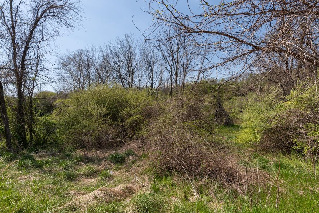 496 Old Greenville Road Staunton, VA 24401 - Photo 64 of 68 a view of a yard