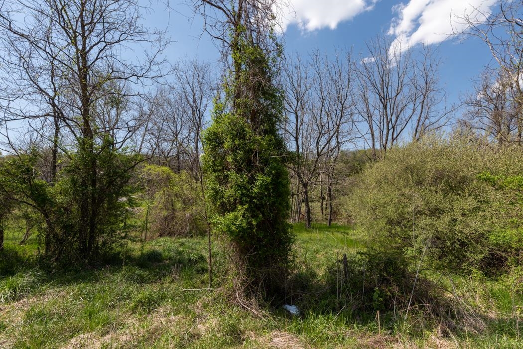 496 Old Greenville Road Staunton, VA 24401 - Photo 65 of 68 a view of a garden