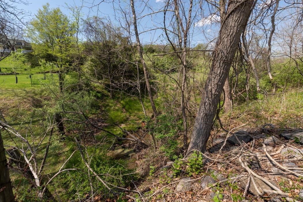 496 Old Greenville Road Staunton, VA 24401 - Photo 66 of 68 a view of a yard with plants and trees