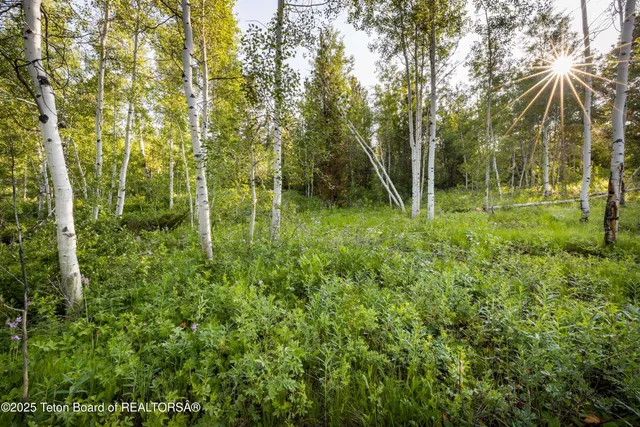 $795,000 | 15245 Teton Wilderness Drive, Moran, WY 83013