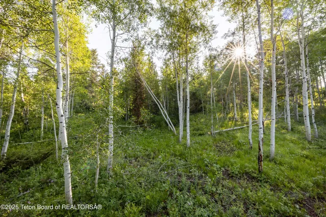 $795,000 | 15245 Teton Wilderness Drive, Moran, WY 83013