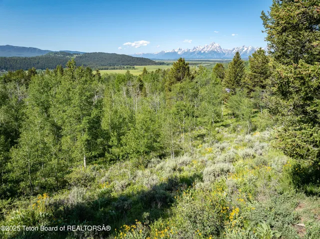 $795,000 | 15245 Teton Wilderness Drive, Moran, WY 83013