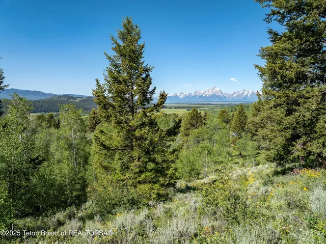 $795,000 | 15245 Teton Wilderness Drive, Moran, WY 83013