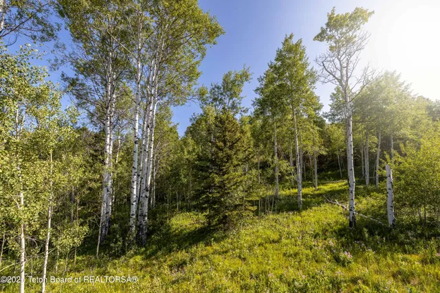 $795,000 | 15245 Teton Wilderness Drive, Moran, WY 83013