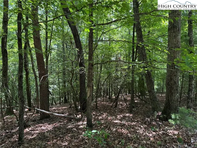 $34,900 | Lot 139 Pine Burr Drive, Purlear, NC 28665