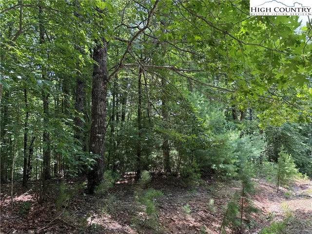 $34,900 | Lot 139 Pine Burr Drive, Purlear, NC 28665