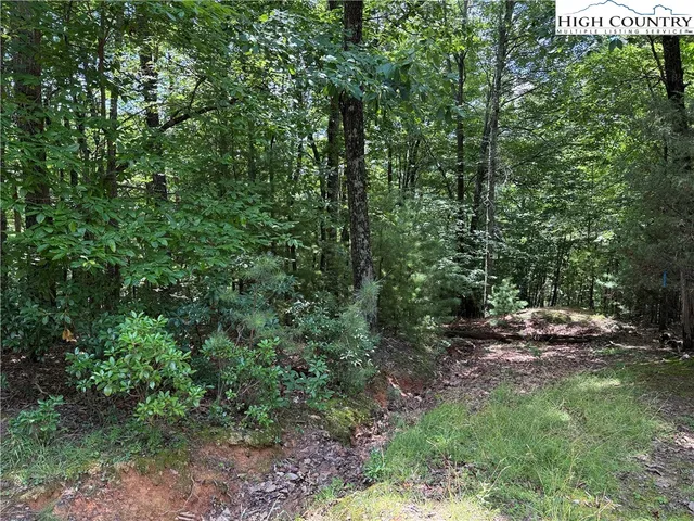 $34,900 | Lot 139 Pine Burr Drive, Purlear, NC 28665