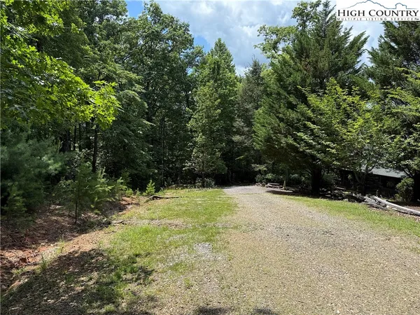a view of a forest from a tree
