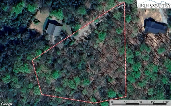 a view of a forest with trees