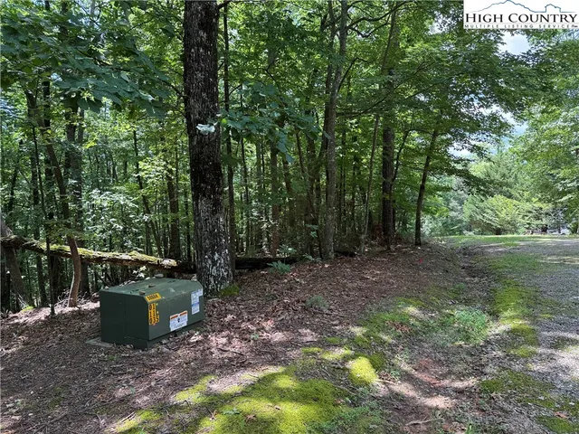 $34,900 | Lot 139 Pine Burr Drive, Purlear, NC 28665