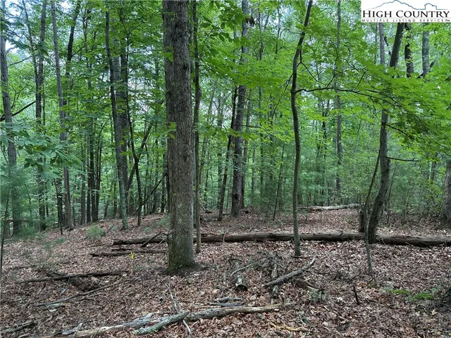 $34,900 | Lot 139 Pine Burr Drive, Purlear, NC 28665