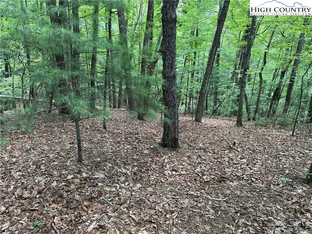 $34,900 | Lot 139 Pine Burr Drive, Purlear, NC 28665