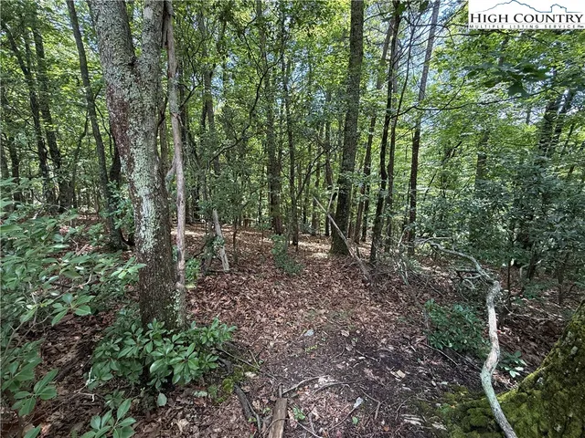 $34,900 | Lot 139 Pine Burr Drive, Purlear, NC 28665