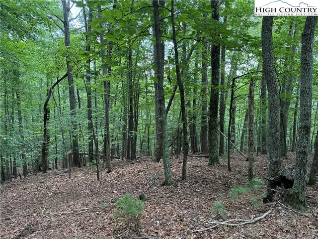 $34,900 | Lot 139 Pine Burr Drive, Purlear, NC 28665