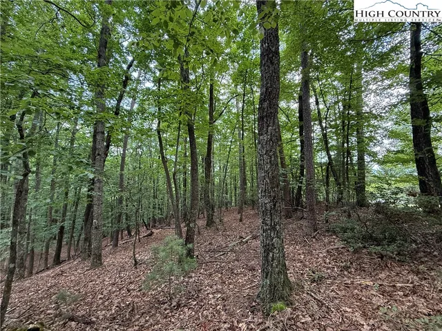 $34,900 | Lot 139 Pine Burr Drive, Purlear, NC 28665