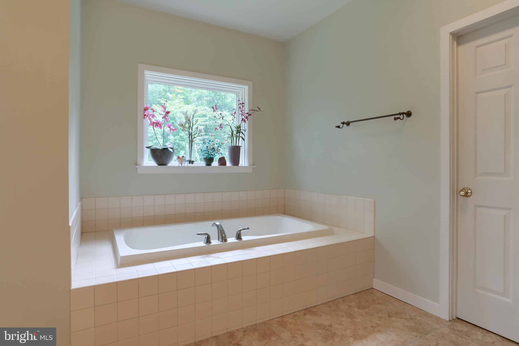 146 Rexmont Road Lebanon, PA 17042 - Photo 25 of 55 Garden tub