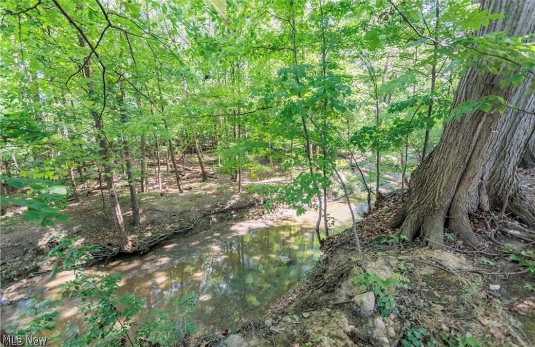 4521 Emerson Road South Euclid, OH 44121 - Photo 47 of 47 Wooded landscape featuring a natural stream, mature trees, and dense foliage