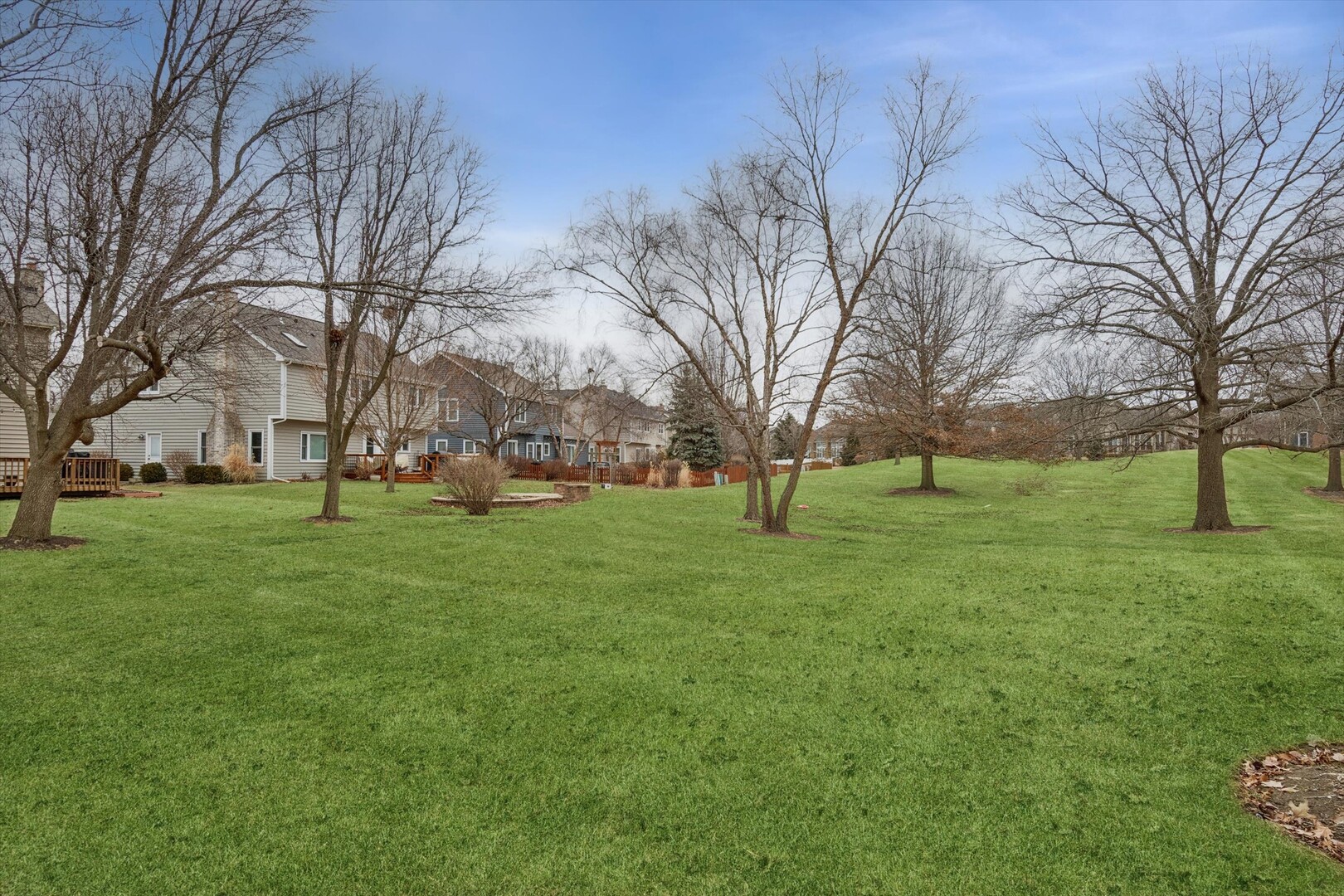 1269 Rhodes Lane Naperville, IL 60540 - Photo 17 of 21