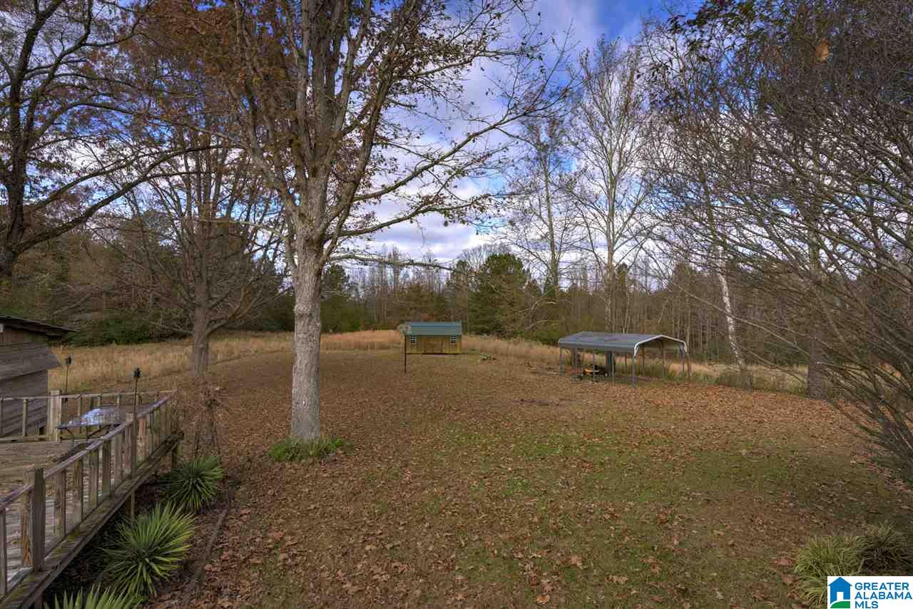 3733 Rose Hill Road Nauvoo, AL 35578 - Photo 44 of 47