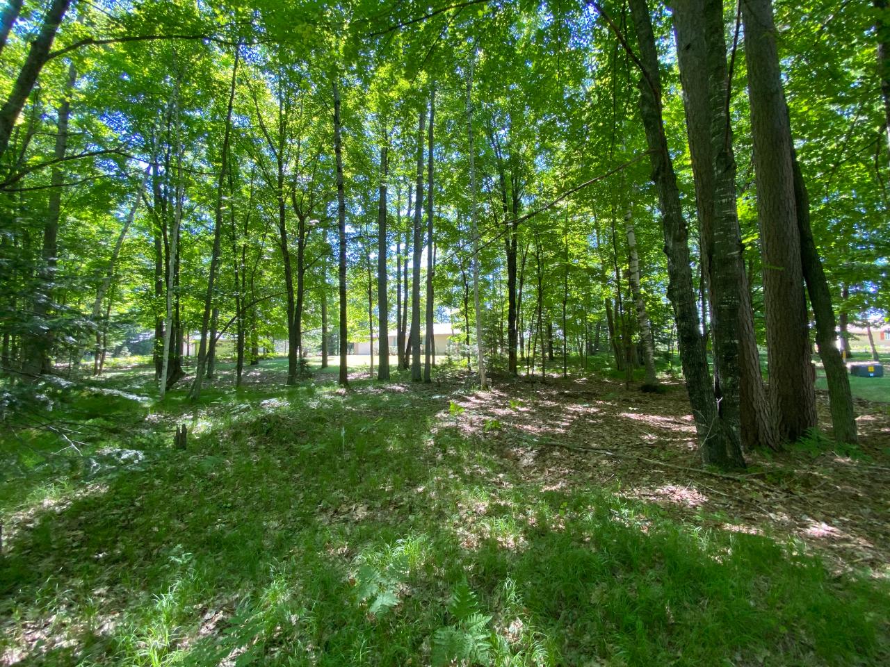 4859 Echo Ridge Road Eagle River, WI 54521 - Photo 7 of 25 Gallery Image 7
