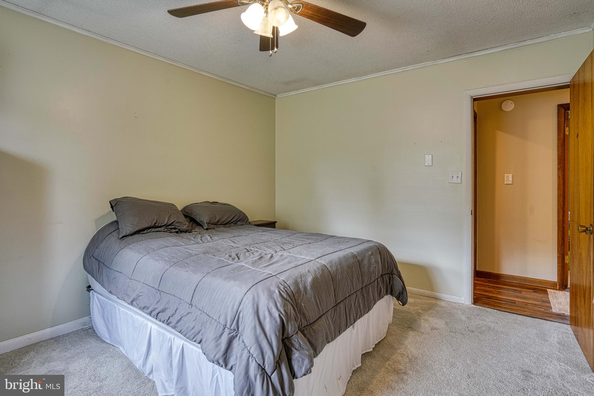 13023 Mason Branch Road Ridgely, MD 21660 - Photo 49 of 111 Gallery Image 49