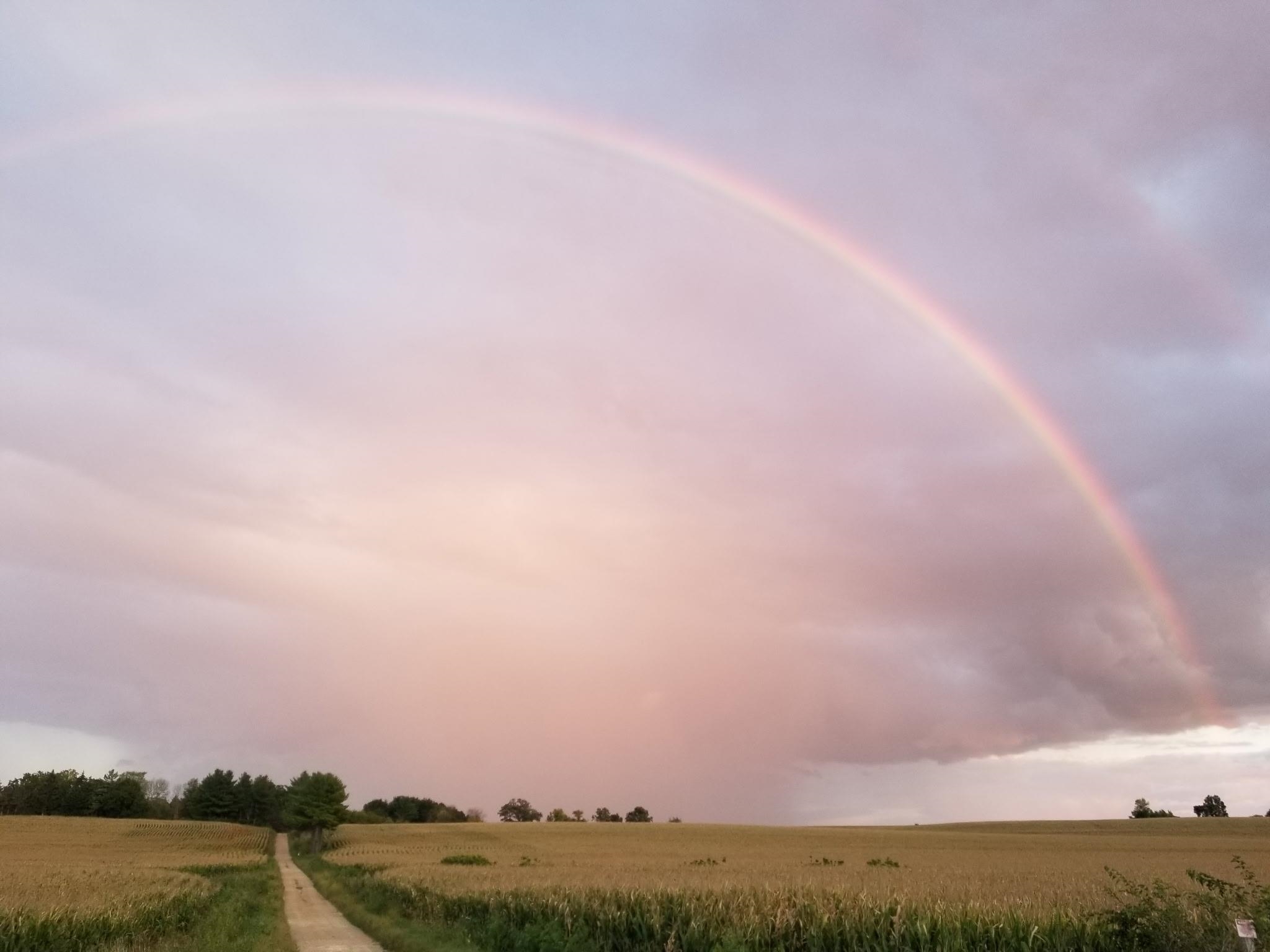 N2302 North Kohn Road Reeseville, WI 53579 - Photo 58 of 72