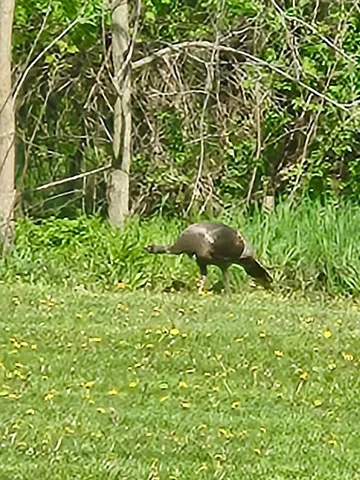 $569,000 | N2302 North Kohn Road, Reeseville, WI 53579